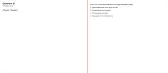 23.webp