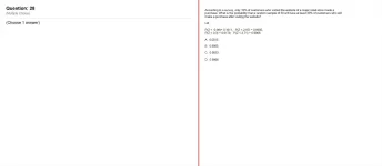 28.webp