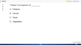 NLP301c SP26 FE_027.webp