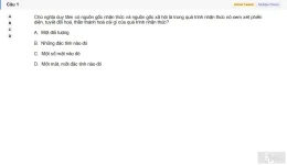 MLN111 SU26 FE_001.webp