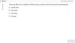 MLN111 SU26 FE_018.webp