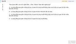 MLN111 SU26 FE_036.webp