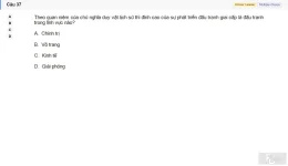 MLN111 SU26 FE_037.webp