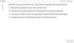 MLN131 SU26 FE_009.webp