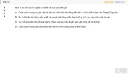MLN131 SU26 FE_014.webp
