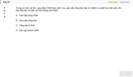 MLN131 SU26 FE_021.webp