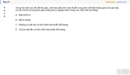 MLN131 SU26 FE_031.webp
