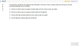 MLN131 SU26 FE_057.webp