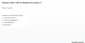 mc_question_17.webp