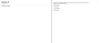 Q_049.webp