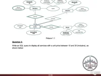 DBI202 SU26 PE NO8_006.webp