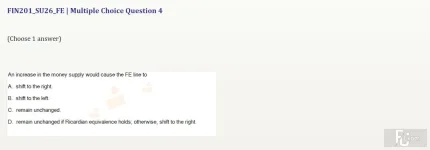 FIN201 SU26 FE_004.webp
