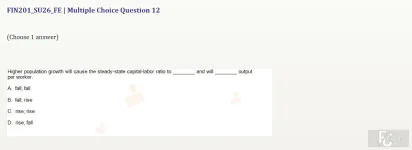 FIN201 SU26 FE_012.webp