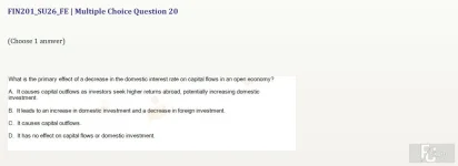 FIN201 SU26 FE_020.webp