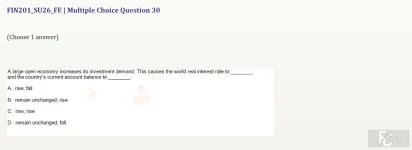 FIN201 SU26 FE_030.webp