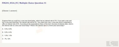 FIN201 SU26 FE_031.webp