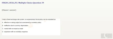 FIN201 SU26 FE_039.webp