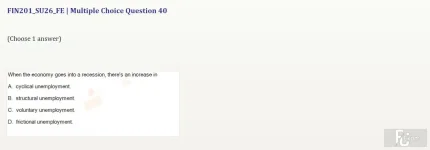 FIN201 SU26 FE_040.webp