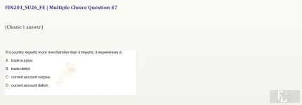 FIN201 SU26 FE_047.webp