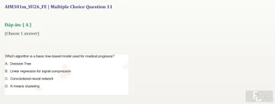 AIM301m SU26 FE_027.webp
