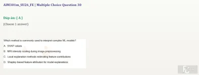 AIM301m SU26 FE_046.webp