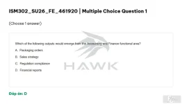 ISM302 SU26 FE_001.webp