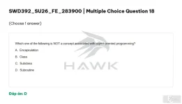SWD392 SU26 FE_018.webp