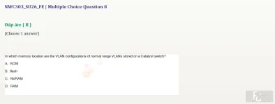 NWC303 SU26 FE_008.webp