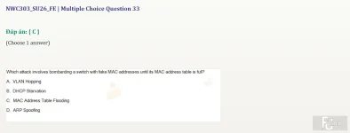 NWC303 SU26 FE_033.webp