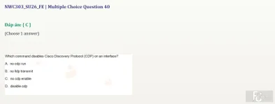 NWC303 SU26 FE_040.webp