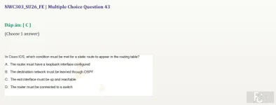 NWC303 SU26 FE_043.webp