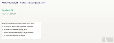 NWC303 SU26 FE_046.webp