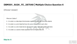DBM301 SU26 FE_004.webp