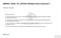 DBM301 SU26 FE_007.webp