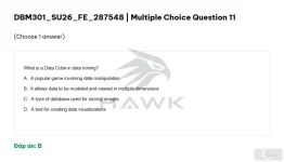 DBM301 SU26 FE_011.webp