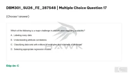 DBM301 SU26 FE_017.webp