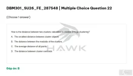 DBM301 SU26 FE_022.webp