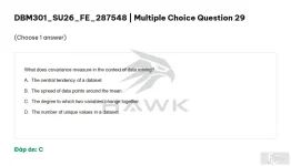 DBM301 SU26 FE_029.webp
