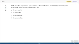 vnc104_su26_fe_05.webp