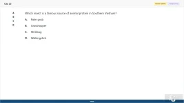 vnc104_su26_fe_22.webp