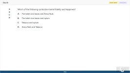 vnc104_su26_fe_30.webp