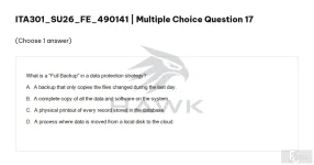 ITA301 SU26 FE_017.webp