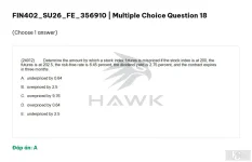 FIN402 SU26 FE_018.webp