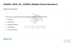 IAO202 SU26 FE_004.webp