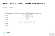 IAO202 SU26 FE_011.webp