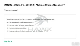 IAO202 SU26 FE_013.webp