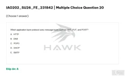 IAO202 SU26 FE_022.webp