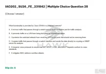IAO202 SU26 FE_030.webp