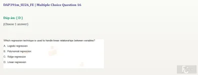 DAP391m SU26 FE_003.webp