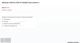 Q_031.webp